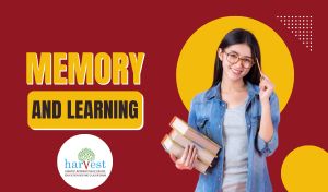 Memory and learning CBSE schools in Bangalore Best CBSE schools in Sarjapur Road Top international schools in Electronic City How memory works in students Improve student memory Study techniques for better retention Memory improvement strategies in schools