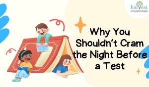 Why Cramming Fails best CBSE schools in Bangalore best schools in Electronic City CBSE schools in Bangalore international schools in Electronic City