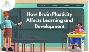 How Brain Plasticity Enhances Learning Best CBSE schools in Bangalore Best schools in Electronic City Good CBSE schools in Sarjapur Road Bangalore Harvest International School