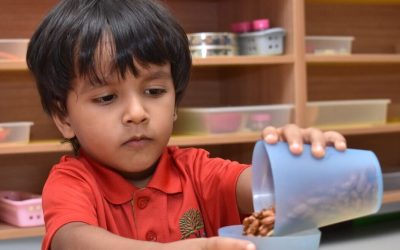 Sensorial Activities harvest international cbse school